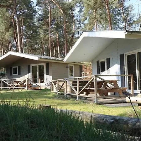 Campsite Boslodge Xl